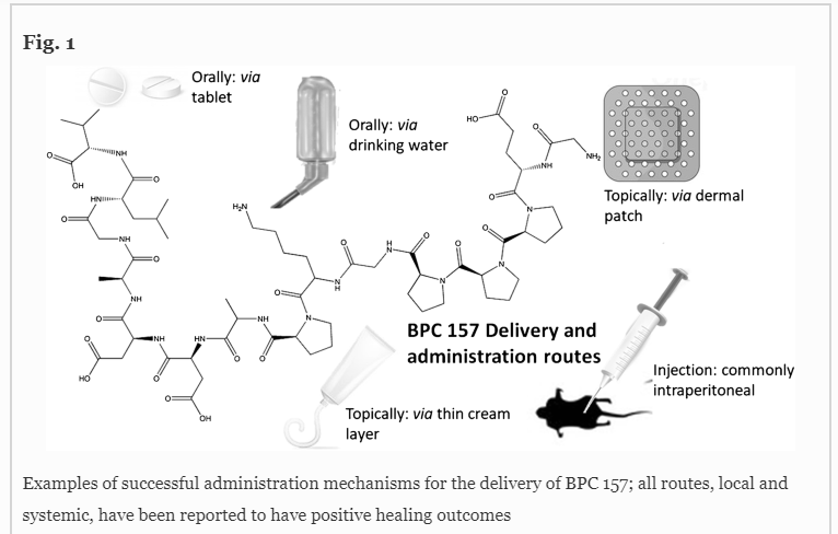 Successful administration mechanisms for delivery of BPC 157 for positive healing effects