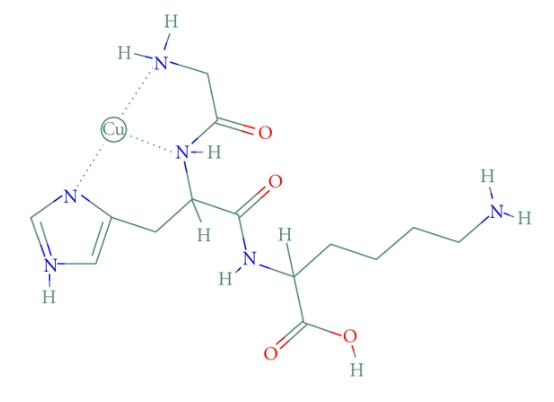 Molecular Structure of GHK-Cu