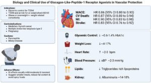 GLP-1 Receptor Agonists in Vascular Protection