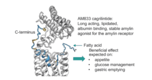 cigrilinitide peptide structure