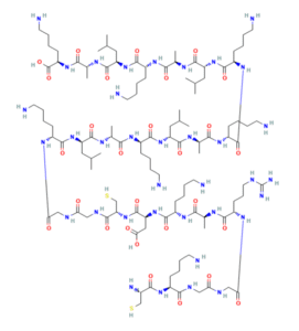 Structure of adipotide peptide