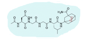 structure of P21 peptide