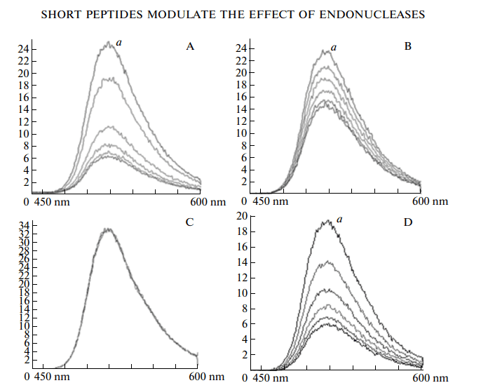 Short Peptide Modulates the effect of endonucleases 